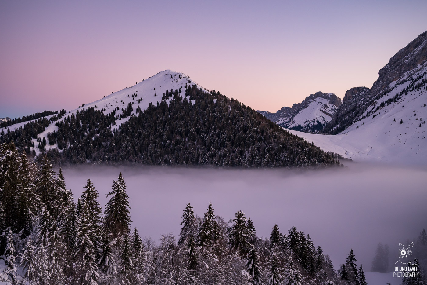 2024 01 12 DSC 0452