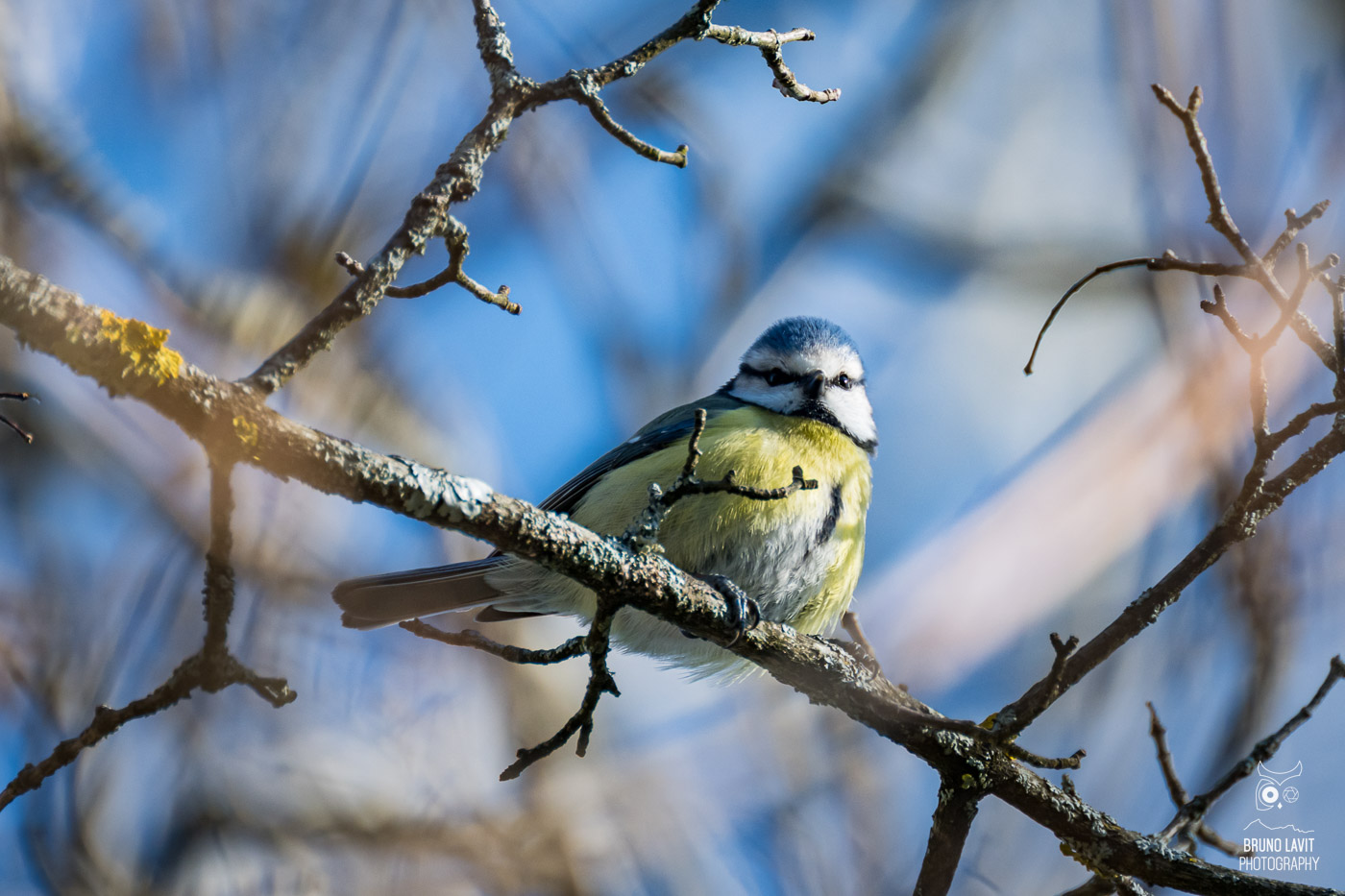 2024 03 13 DSC 7935