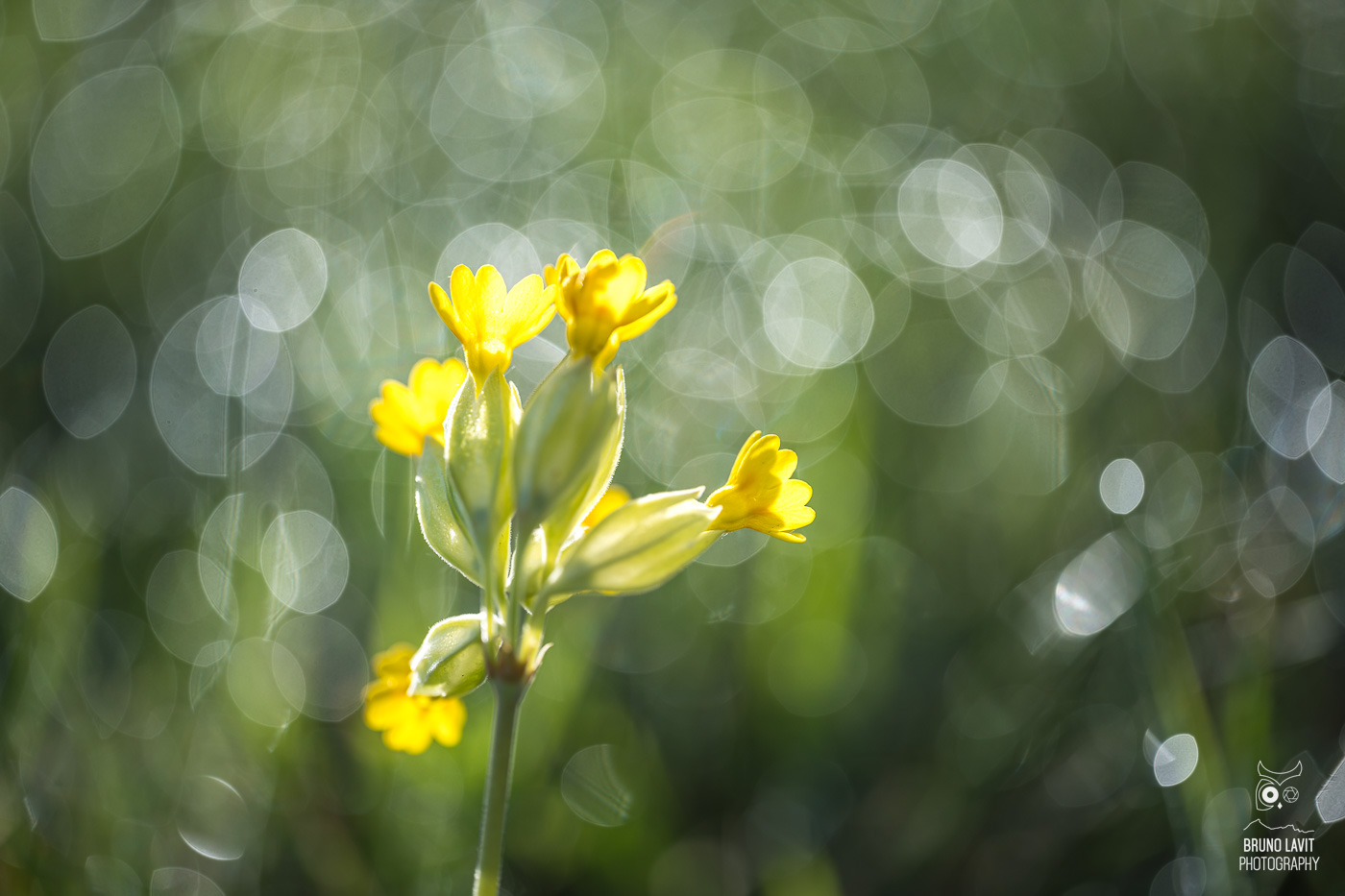 2024 04 13 DSC 0303