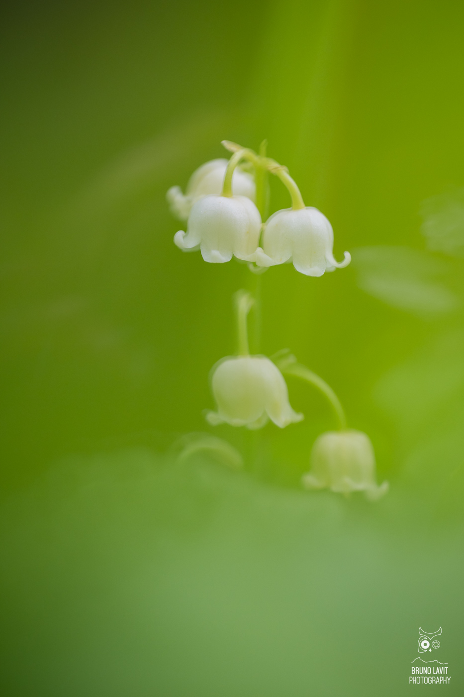 2025 05 09 DSC 8147