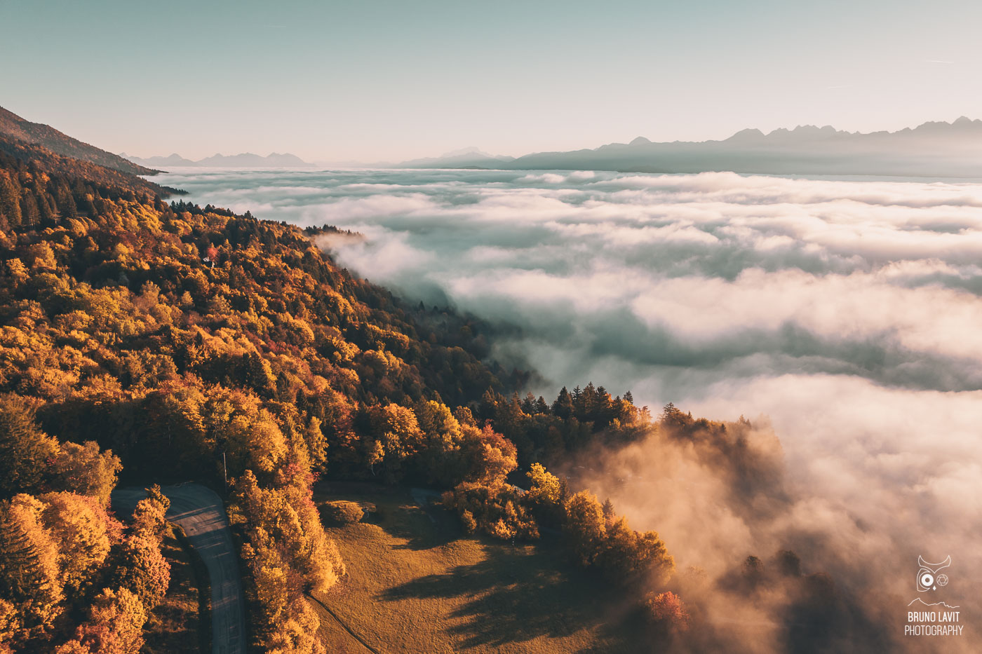2025 10 12 DJI 20251012082153 0050 D
